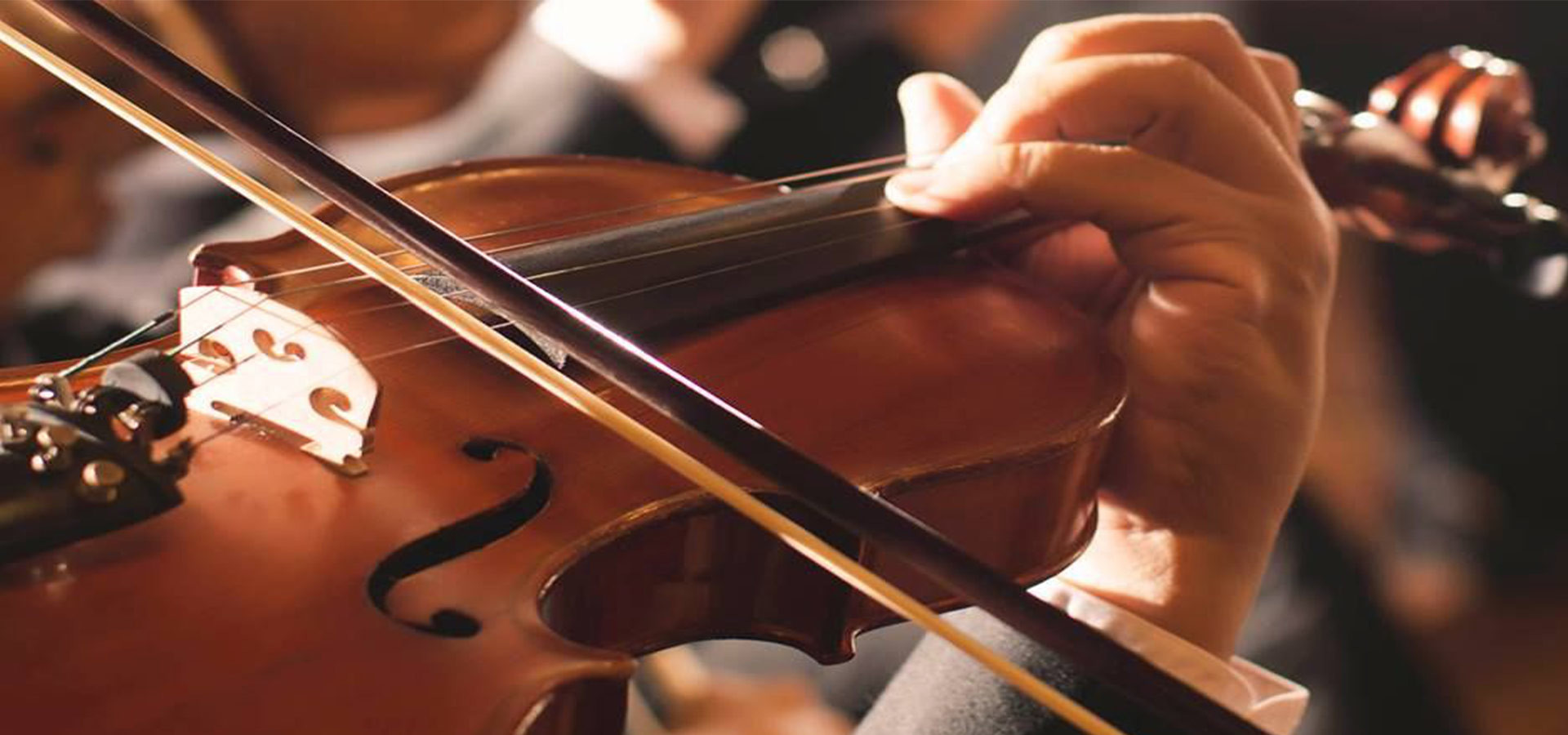 calidad Recogedor de guitarra fábrica